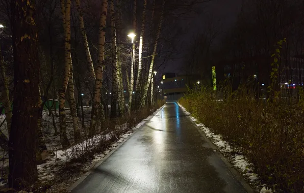 Picture road, autumn, the sky, snow, trees, night, the building, lights