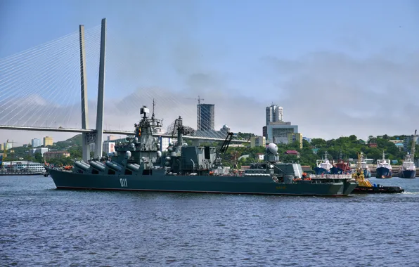 Cruiser, rocket, Guards, Pacific Fleet, The Vikings