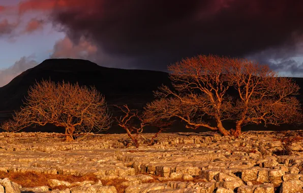 Sunset, Yorkshire, Ingleborough, Twistleton Scar