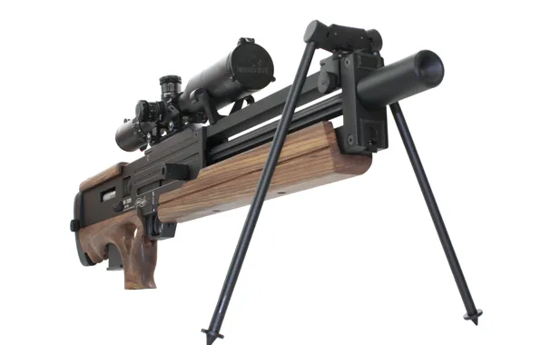 Picture sniper rifle, Walther wa 2000, bullpup, 89 instances