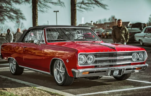 1965, Chevelle, Malibu