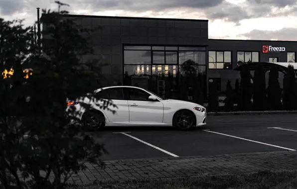 White, sunset, drives, alfa romeo, Alfa Romeo, alfa romeo giulia