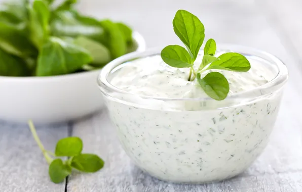 Picture greens, sauce, herbs, mint leaves, seasoning, seasoning, sauce, a mint leaf.