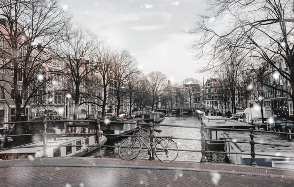 Trees, bridge, river, street, Winter, Snow, Amsterdam