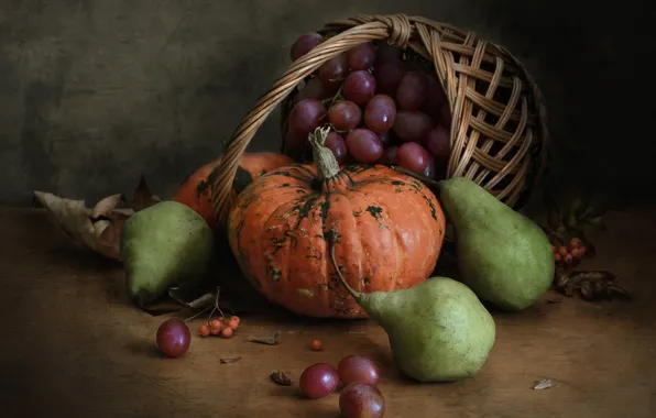 Grapes, pumpkin, still life, pear