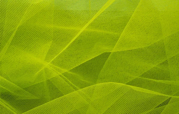 Picture mesh, texture, silk
