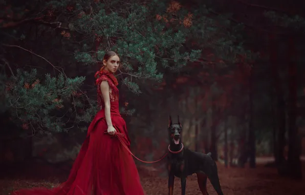 Picture forest, girl, branches, style, dog, dress, red dress, pine