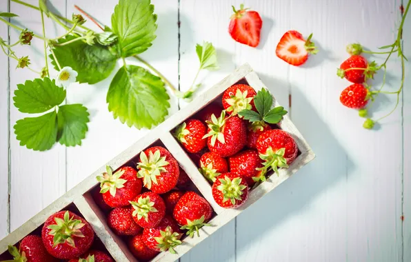 Picture berries, strawberry, strawberry, fresh berries