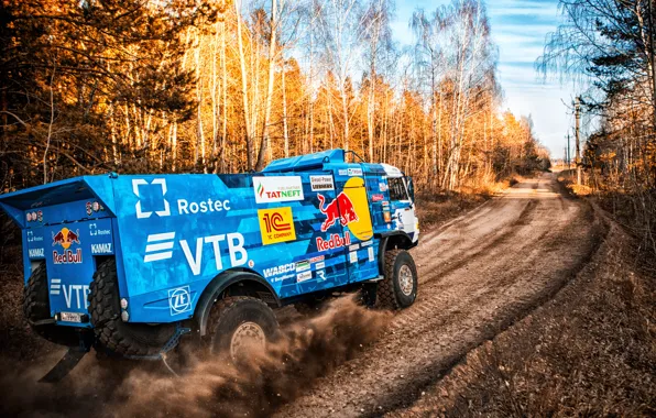 Trees, Sport, Machine, Speed, Truck, Race, Master, Russia