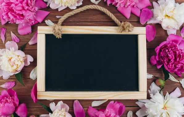 Flowers, frame, pink, white, white, wood, pink, flowers