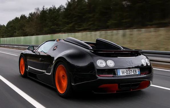 Auto, black, Roadster, Bugatti, Veyron, supercar, rear view, Grand Sport