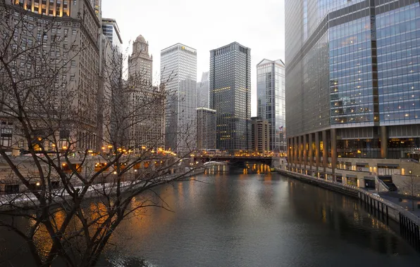 The sky, building, skyscrapers, Chicago, USA, USA, America, Chicago