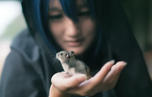 Picture girl, background, mouse