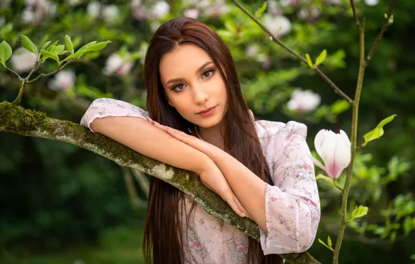 Look, girl, branches, nature, brunette, flowers, Magnolia