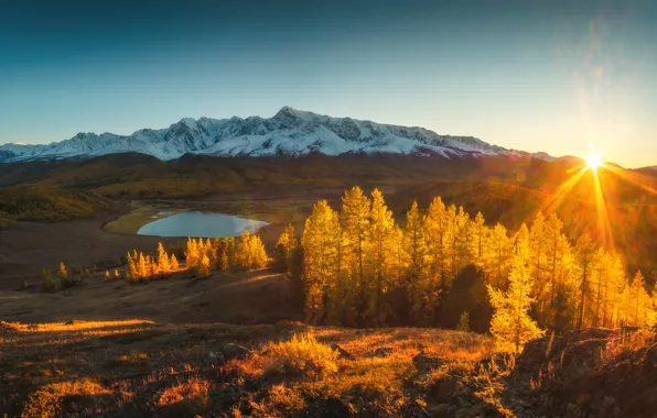 Forest, the sky, grass, the sun, rays, trees, mountains, lake