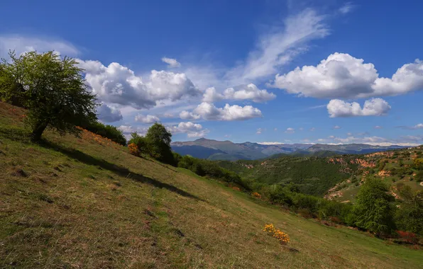 Clouds, trees, slope, horizon, space, Mountain landscape, Magov Marat