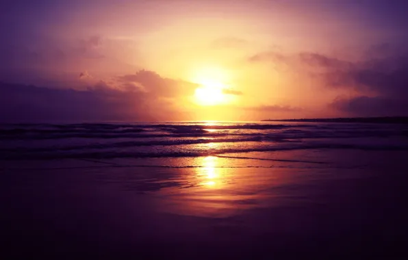Sunset, shore, Sea, the sky.