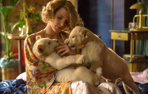 Picture cinema, lion, movie, film, Jessica Chastain, The Zookeeper's Wife