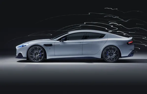 Aston Martin, Rapide, side view, 2019, Fast E