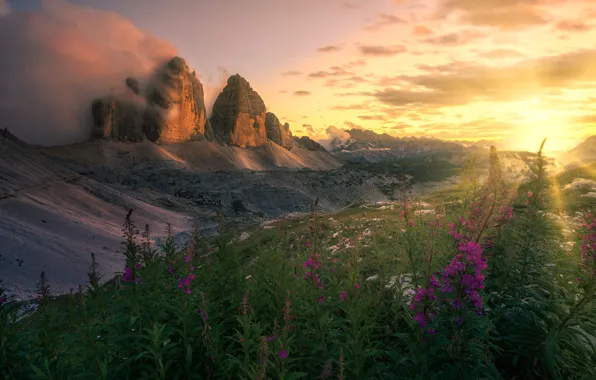 The sun, sunset, flowers, mountains, dawn, Alps, haze, Ivan-tea
