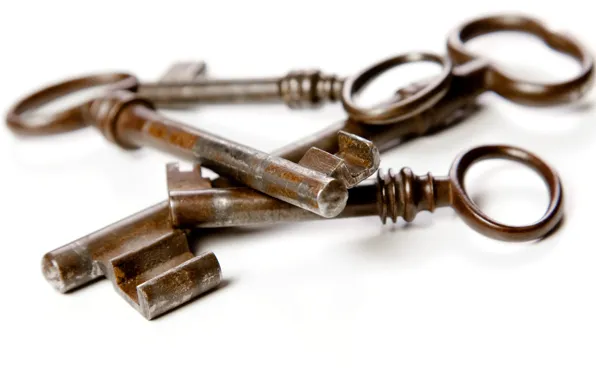 Macro, background, keys