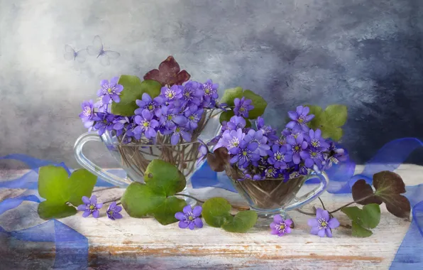 Picture flowers, spring, still life, lilac, Pechenocna, Hepatica