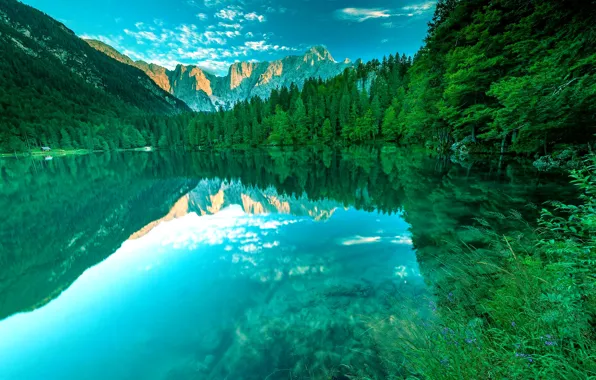 Reflection, Mountains, Lake, Forest, Dawn, Grass