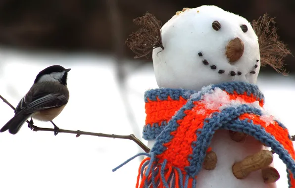 Winter, snow, bird, scarf, snowman, nuts, twigs, peanuts