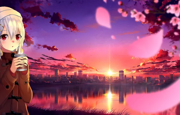 The sky, girl, landscape, sunset, the city, reflection, coffee, petals