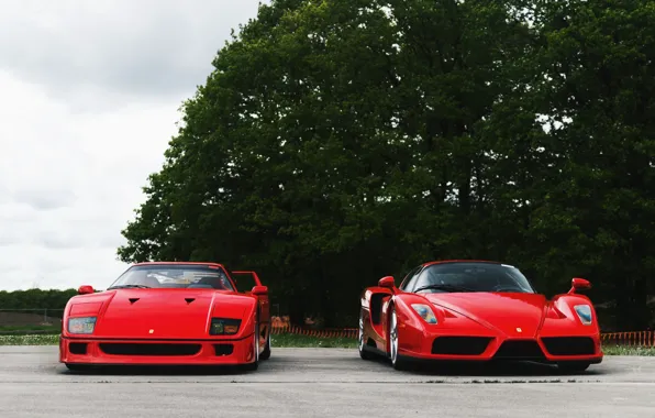 Red, F40, Enzo