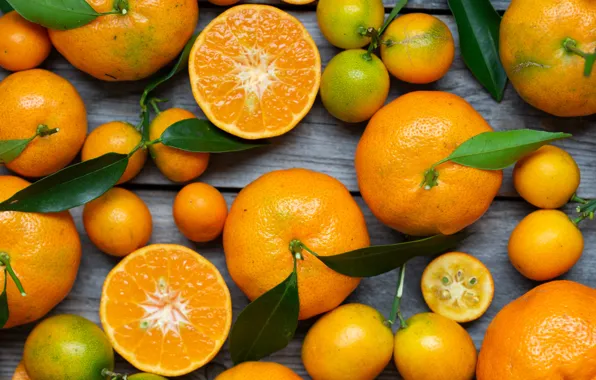 Leaves, citrus, citrus, Mandarin, tangerines