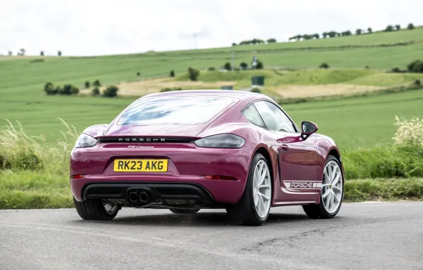 Porsche, Cayman, rear view, 718, Porsche 718 Cayman Style Edition