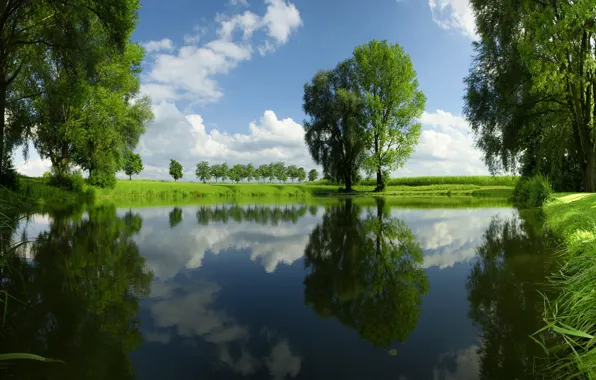 Grass, trees, river