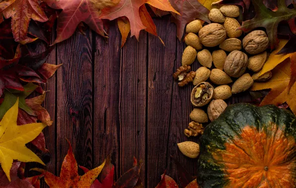 Autumn, leaves, the dark background, Board, texture, pumpkin, nuts, almonds