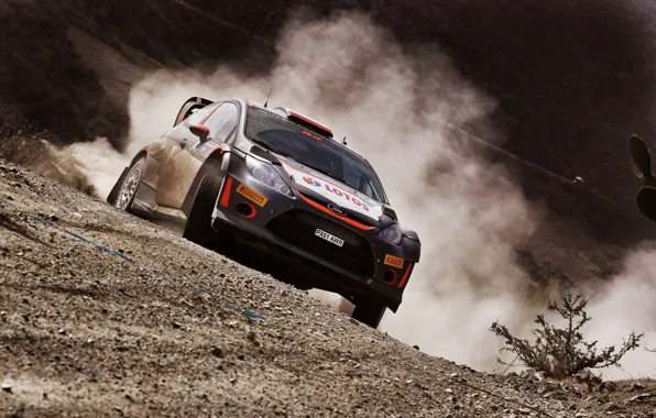 Ford, Dust, WRC, Rally, Fiesta, Kubica