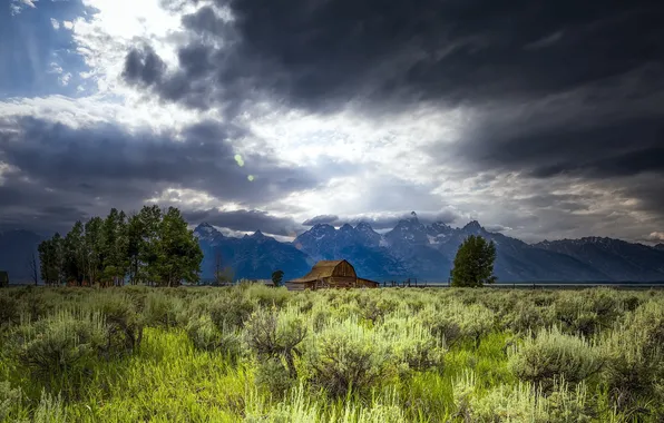 Greens, clouds, rays, trees, mountains, home