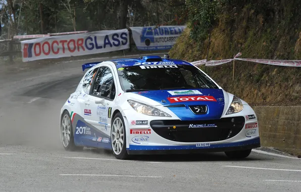 Sport, Peugeot, The hood, Peugeot, WRC, Rally, The front, 207