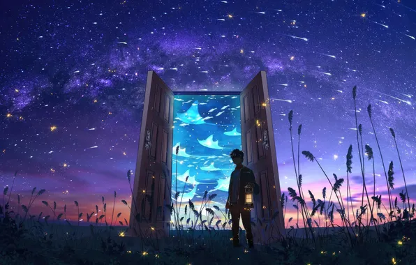 Picture field, grass, night, the portal, flashlight, rays, the young man, other worlds