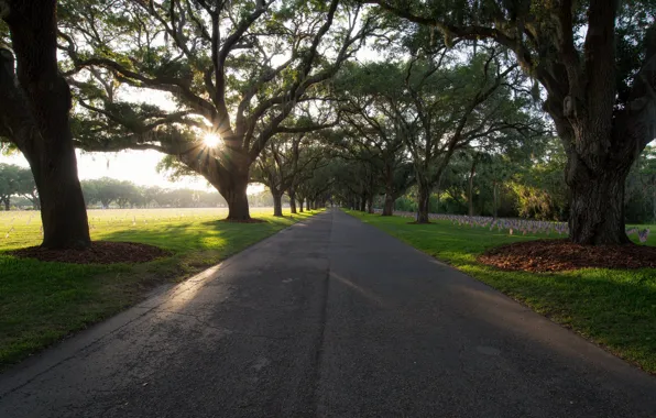 Picture United States, Florida, St. Petersburg, Hallowed Drive