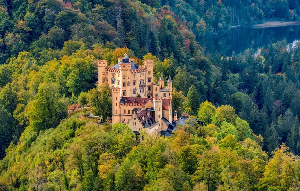 Picture Germany, Forest, Bayern, Locks, Hohenschwangau Castle