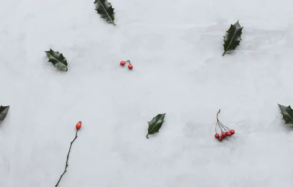 Picture leaves, red, berries, bunches