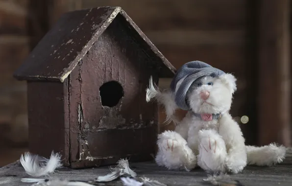 Picture toy, feathers, birdhouse, bear, Teddy bear