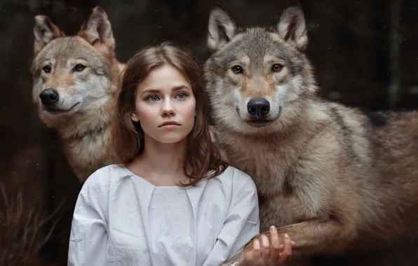 Picture girl, wolves, friends, the girl and the wolves, Svetlana Nicotine