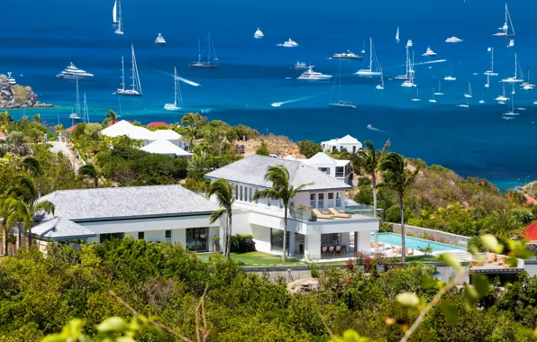 Picture sea, palm trees, Villa, yacht