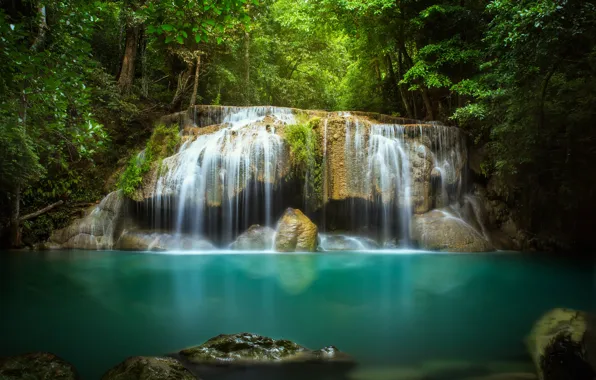 Picture water, trees, stones, waterfall, stream