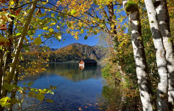 Autumn, trees, landscape, mountains, nature, lake, house, Austria