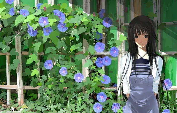 Flowers, the fence, black hair, bakemonogatari
