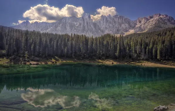 Picture forest, mountains, lake, reflection