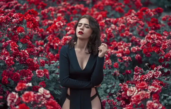 Picture girl, flowers, face, lipstick