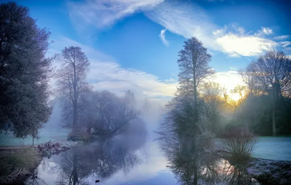 Fog, nature, river, forest